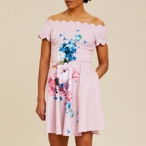 Ted baker light pink fit and flare dress